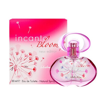 SF Incanto Bloom New