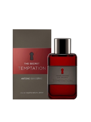 Antonio Banderas The Secret Temptation